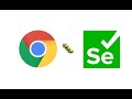 How to Install Chrome WebDriver on Macbook (Mac OS)