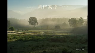 光の情景ー癒しの風景写真（４K ）