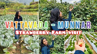 Vattavada farm visit 🤩 Munnar | strawberry | blackberry | cabbage | carrot ..