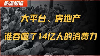 GDP飙升40年 14亿人为何仍旧没有消费力？ | 中国人的消费力 被谁吞噬了？| 消费力 | 房地产 | 垄断 | 平台 | 二次分配 | 初次分配 | 电商 | 消费者 | 创业