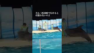 新江ノ島水族館のイルカショー、普通にすごかった #水族館 #おすすめスポット #江ノ島 #湘南 #誰かに話したい #イルカ #イルカショー #vlog #dolphin #aquarium #神奈川