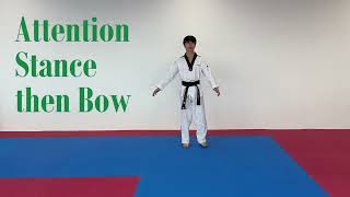 Blue Stripe Belt Green Stripe