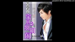 《黑道老公：宝贝，别胡闹》有声小说第89集