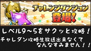 【パズドラ】第46回チャレンジダンジョンLv.9〜5をサクッと攻略！