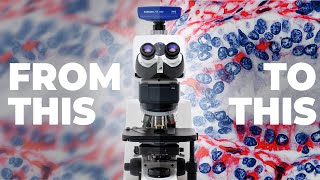 How to adjust the microscope to see more clearly? 10 steps!