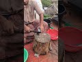 WOW ! Amazing Big Telapia Fish Cutting By Expert Fish Cutter #shorts