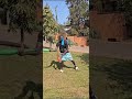 enjoy three clubs tricks jugglingworld jugglinglife greeting juggling higuys