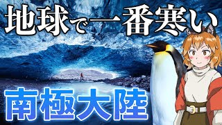 【極限環境】南極ってどんな生き物がいるの？あなたの知らない極寒の世界