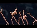 The Cutest Form of Camouflage: Pygmy Seahorse - 