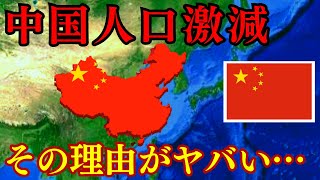 一人っ子政策の裏側！中国の人口減少に隠された衝撃的な事実【ゆっくり解説】