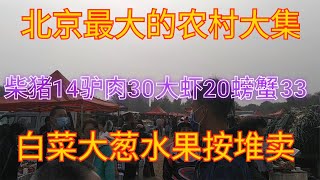 北京最大的农村大集，柴猪14驴肉30大虾20螃蟹33，白菜大葱按堆卖【食神涛哥美食汇】