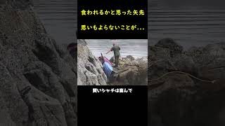 シャチに食われるかと思った矢先、思いもよらないことが起こった！