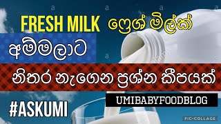 Fresh Milk ෆ්‍රෙශ් මිල්ක් ගැන අම්මලාට නැගෙන ප්‍රශ්න ඔක්කොටම උත්තර #AskUmi බබාට නැවුම් එළකිරි දෙමු