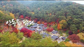 안동을 담다 : 도산서원