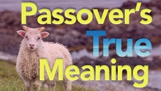 Celebrate the True Meaning of Passover Whether You're Jew or Gentile