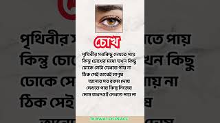 অন্যের ভুল নিয়ে বই লেখা যায়, নিজেরটা খুঁজতেই বছর লাগে! 📖😅