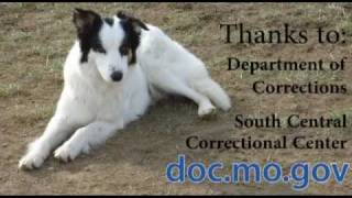 Faith -- Puppies for Parole 250th Adoption Video