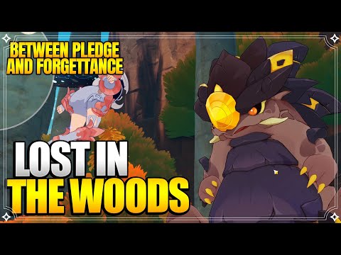 Genshin Impact: Lost in the Woods Guide