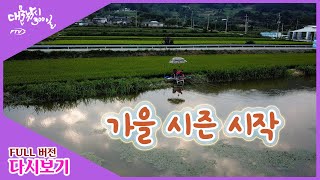 [다시 보기] 대물낚시 300일 - 가을 시즌 시작