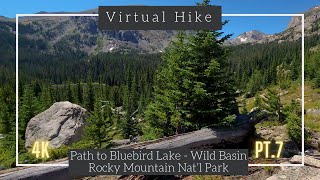 Path to Bluebird Lake | Wild Basin Trail | Rocky Mountain National Park | Pt.7 | 4k Virtual Hike