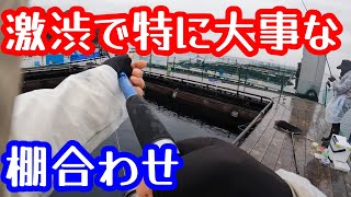 【海上釣堀】雨ニモ負ケズ、風ニモ負ケズ……釣行はお天気の良い日にすべき＆ヒラマサの押しずし【まるや】