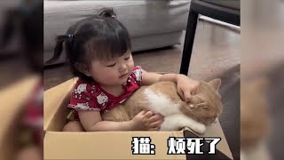 #猫狗都嫌的年纪有多可怕#宠物：你这都生了个什么玩意！