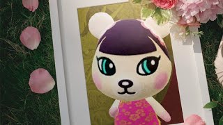 Pekoe's 24 Hours in Animal Crossing: New Horizons