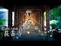 【Trip to Nara】長谷寺｜Hase-dera Temple｜4K｜奈良大和路｜牡丹｜