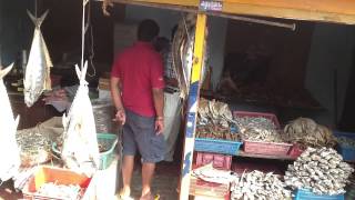 Dried fish shop, Talaimannar, Sri Lanka