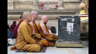 2025Jan -Ajahn Kalyano's Pilgrimage-to-Budhgaya