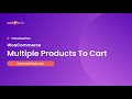 Boost WooCommerce Sales with Multiple Products to Cart: Introducing the Product Table Plugin