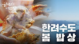 [한국인의밥상][풀영상] 한려수도 봄 밥상  -  푸른바다 건너서 봄이 와요