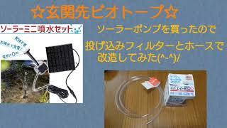 ☆玄関先ビオトープ☆投げ込みフィルター改造ソーラーポンプを作ってみた(^-^)/