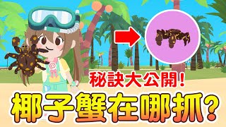 【天天玩樂園】隱藏版椰子蟹在哪裡？怎麼抓？地圖在哪裡？一刀未剪版