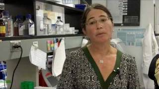 Pop Star Brings Disease to Spotlight