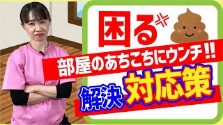 【犬のしつけ】犬のトイレ問題☆ウンチだけトイレでできない！原因と対処法を徹底解説！