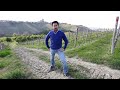 nebbiolo prima con enrico rivetto hd