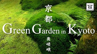 Gioji Temple: Moss and Butterfly Gardens in Kyoto | Green Japanese Garden | 苔寺を巡る旅、京都 祇王寺の日本庭園 4K