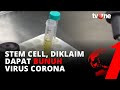 Diklaim Dapat Bunuh Virus Corona, Peneliti UNAIR Kembangkan Stem Cell | tvOne