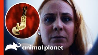 Woman Finds Weird Creatures In Her Urine | Monsters Inside Me