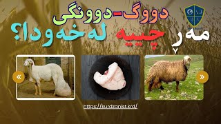 خەوننامەی کوردی، بەشی دال؛ دووگ-دوونگ-چەوری: