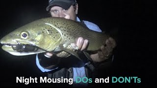 Trout: Dos and Dont's of Fishing With Mouse Flies