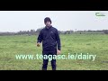 dairy autumn grazing guidelines