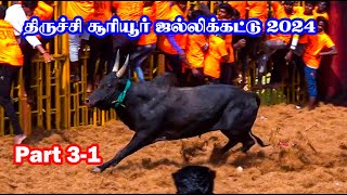 2024 சூரியூர் ஜல்லிக்கட்டு Part 3-1 | SOORIYUR JALLIKATTU | THANGAM JALLIKKATTU TV