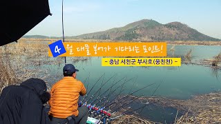 [자연지] 144.4월 대물붕어가 기다리는 포인트! -  충남 서천군 부사호(웅천천)(2023.3.22)