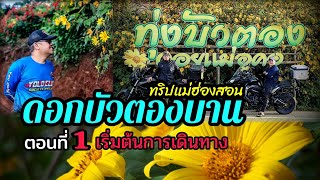 Ep.250 ทริปแม้ฮ่องสอน ดอกบัวตองบาน ตอนที่ 1เริ่มต้นการเดินทาง