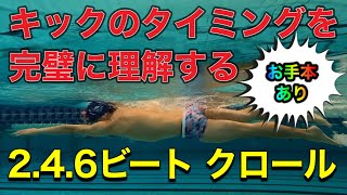 #506 クロール（自由形）のキックのタイミングを完壁に理解する【2,4,6ビート】