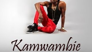 Diamond Platnumz   Kamwambie Lyrics