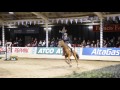 showjumping raws hd