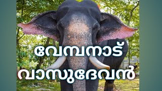 Vembanad Vasudevan Elephant in Kerala | വേമ്പനാട് വാസുദേവൻ 😍| THIRUNAKKARA TEMPLE